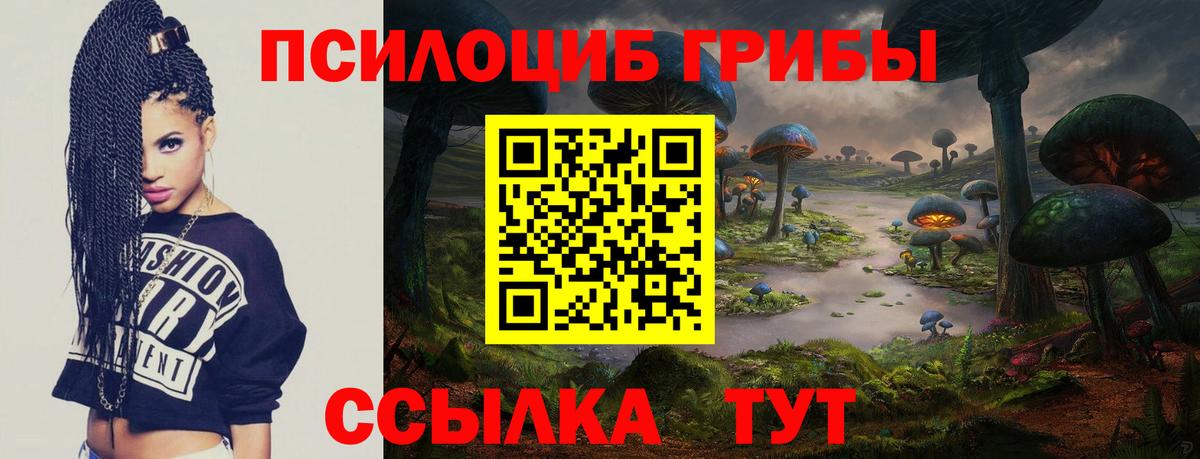 Псилоцибиновые грибы ЛСД  Псилоцибиновые грибы GOLDEN TEACHER  Подольск  купить наркотик  Вход с VPN 
